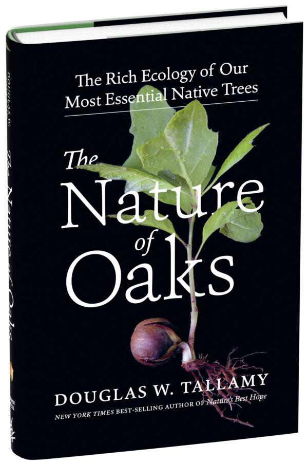 Nature of Oaks